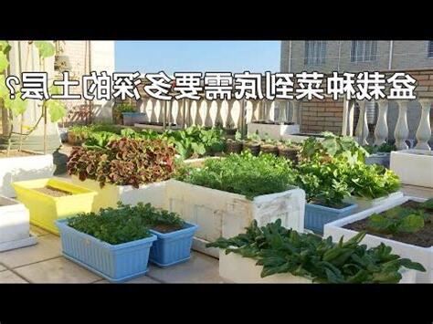 種菜土壤深度