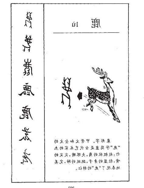 鹿的五行