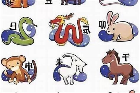 2027年生肖