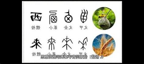 名字代表的意義