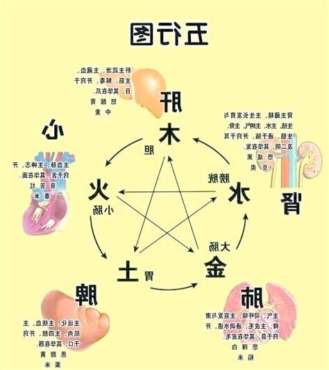 慧的五行
