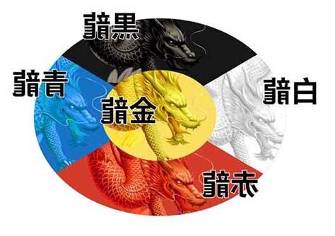 龍五行
