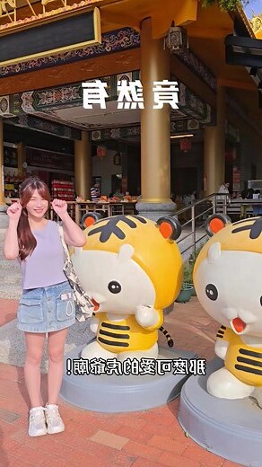 夢到虎