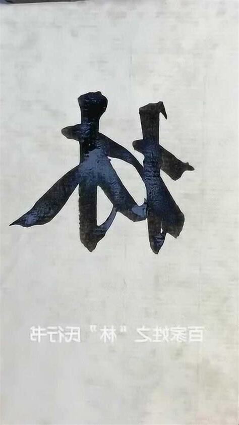 姓林的名字男