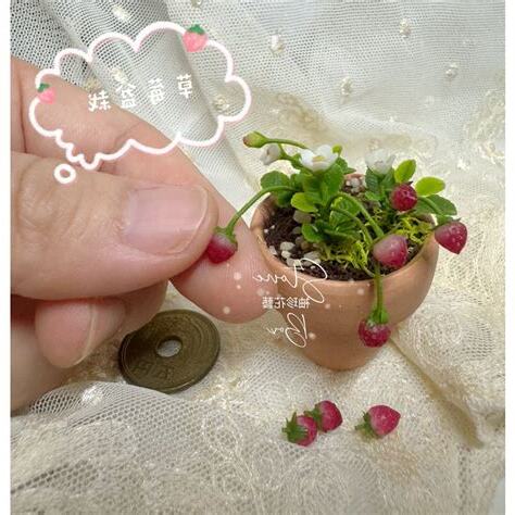 袖珍花