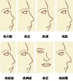 鼻子看財富