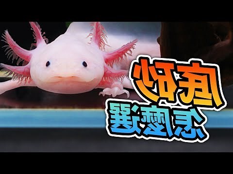 砂的成語有什麼