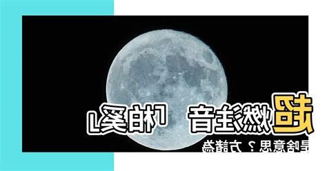 柏奚注音