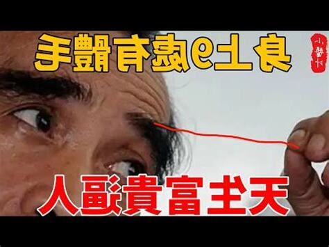 富貴毛