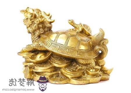 龍龜擺放禁忌