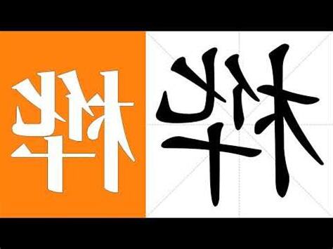 樺名字意思