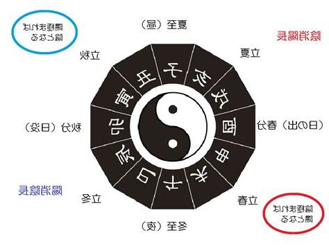 陰陽理論