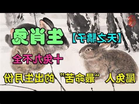 2000年生肖兔
