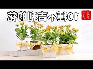 10種不吉利的花