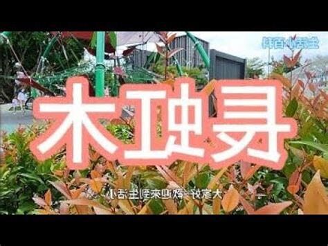 長虹木風水