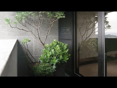 適合陽台的植物花