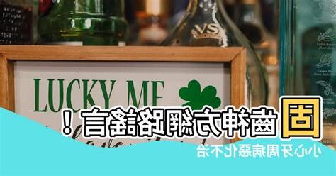 固齒神方網路謠言