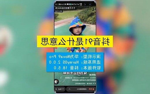 91是啥