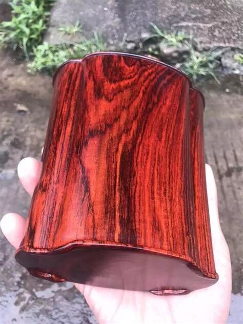 紅酸枝功效