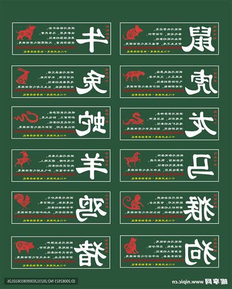 12生肖牌