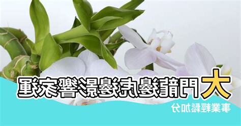 龍邊種樹