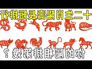 82年属相