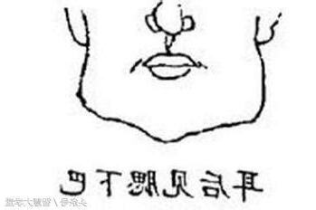 下巴飽滿面相