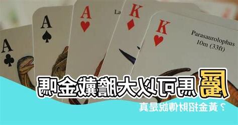 屬馬可以戴黃金嗎