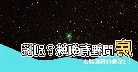 房間有蜘蛛風水