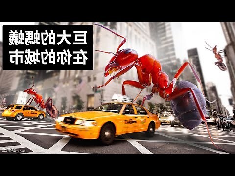 螞蟻突然出現原因