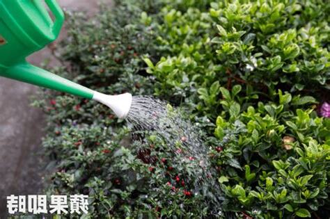 樓上澆花滴落髒水你可以這麼做