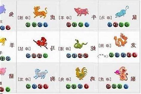 狗生肖六合