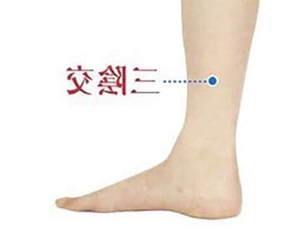 三陰叉