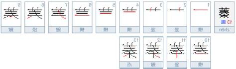 蓁的五行
