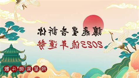 2023流年飛星