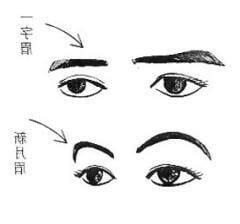 一字眉面相