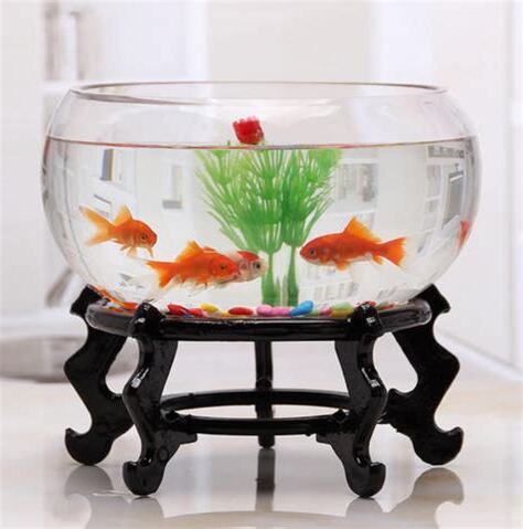 養魚容器