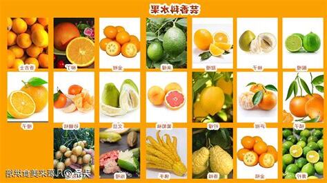 有哪些水果