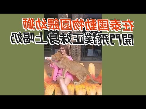 蟬飛到身上