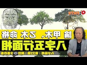 甲木乙木怎麼算