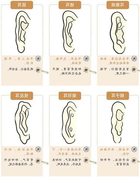 面相耳朵有痣位置
