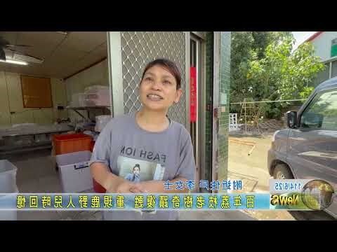 百年荔枝