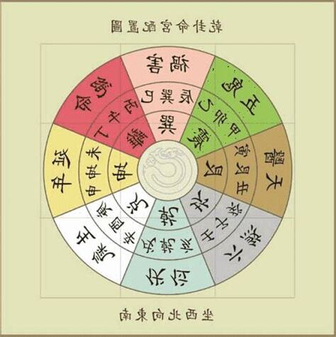 八运属什么