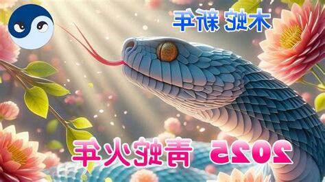 木蛇年