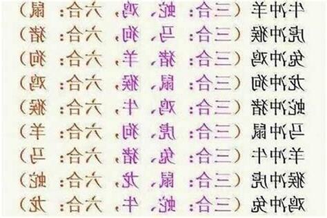 什么生肖旺蛇