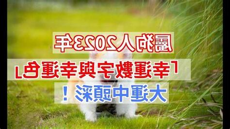 屬狗幸運數字