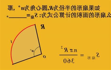 弧的成語