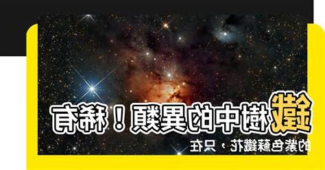 紫色蘇鐵花