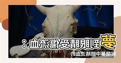 夢到眼睛流血