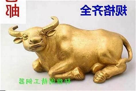 肖牛